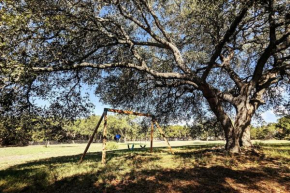 Shady Oaks Cottage: A Peaceful & Relaxing Getaway